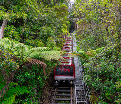 藍山國家公園-紅色叢林列車 Scenic Railway  